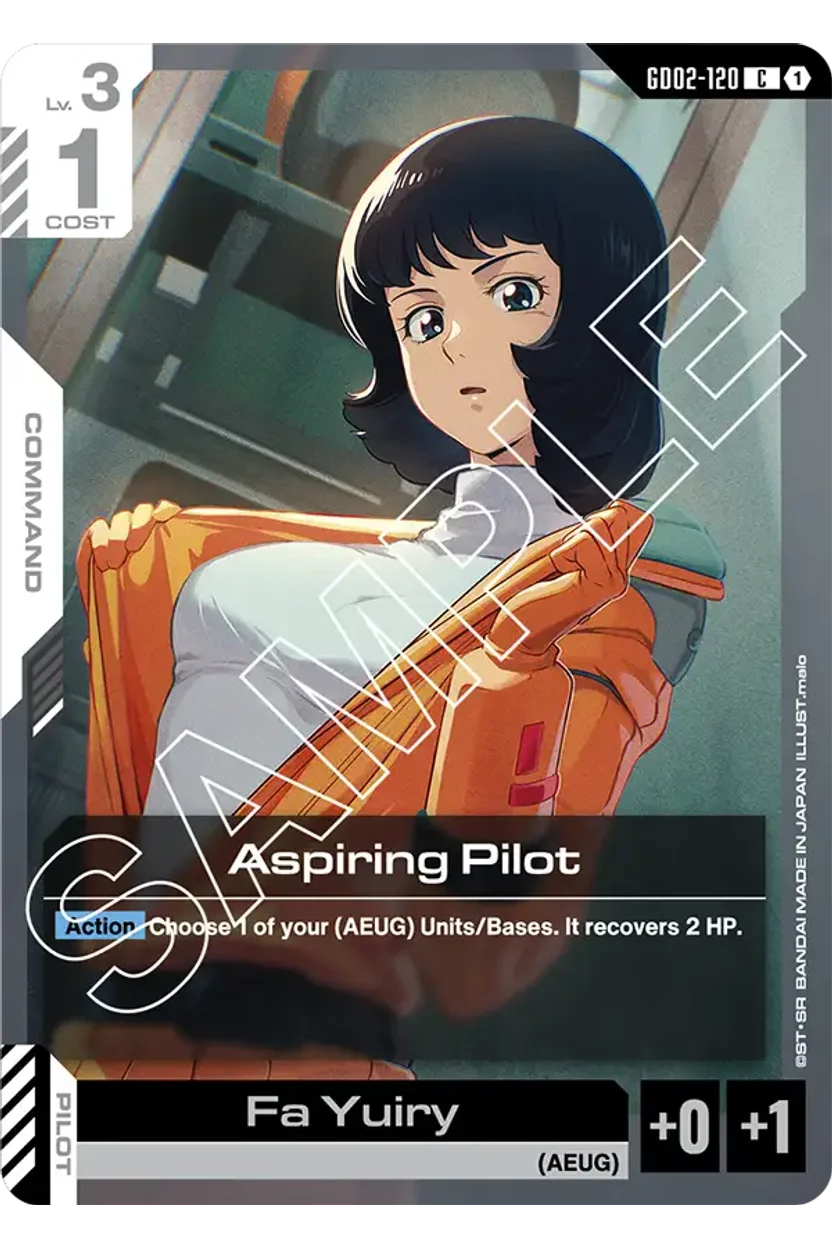 Aspiring Pilot