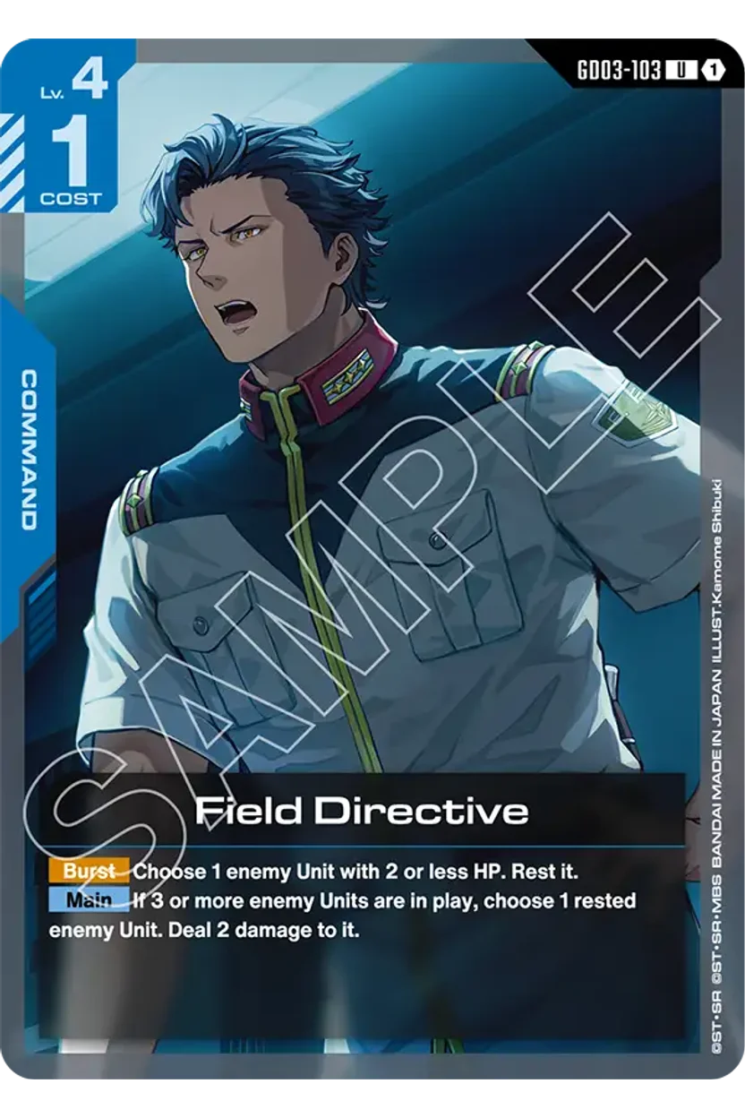 Field Directive