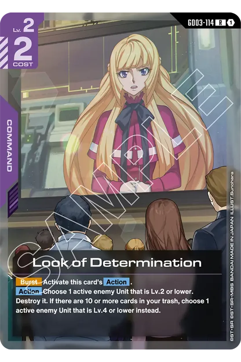Look of Determination