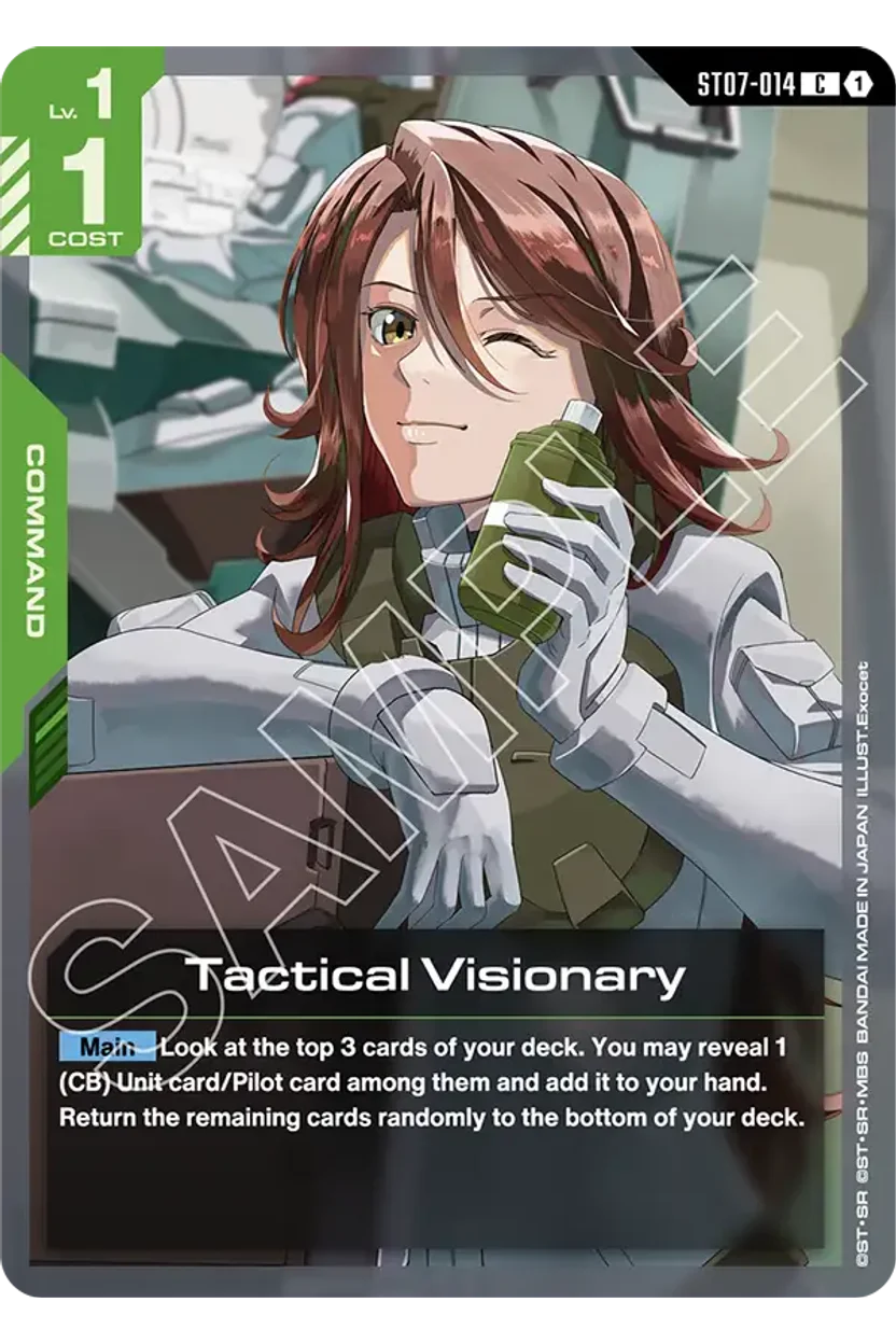 Tactical Visionary