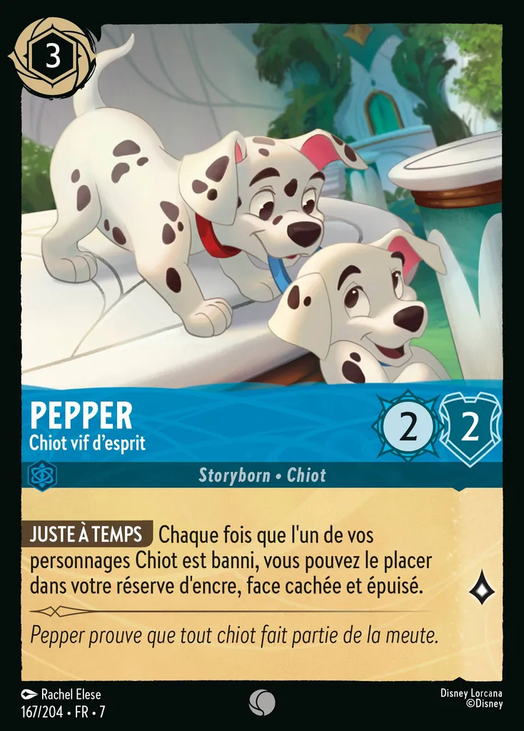 Pepper - Chiot vif d’esprit