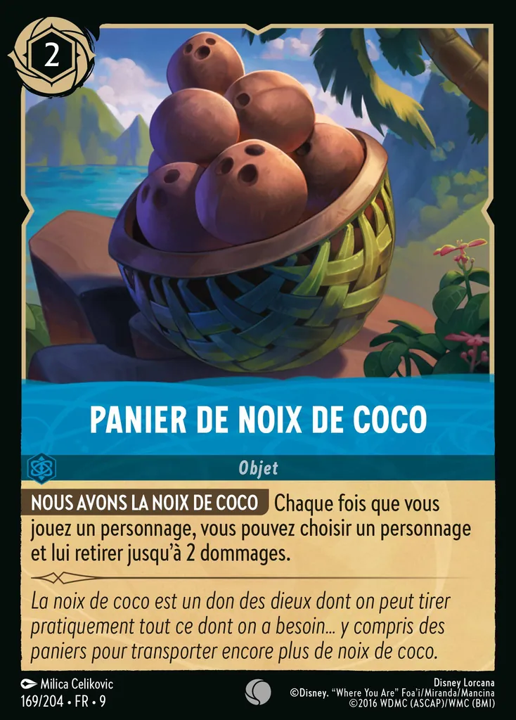 PANIER DE NOIX DE COCO